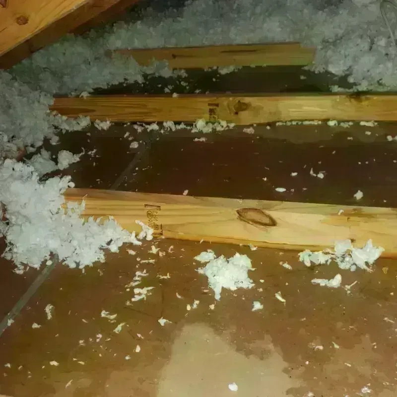 Attic Water Damage in Cannelton, IN