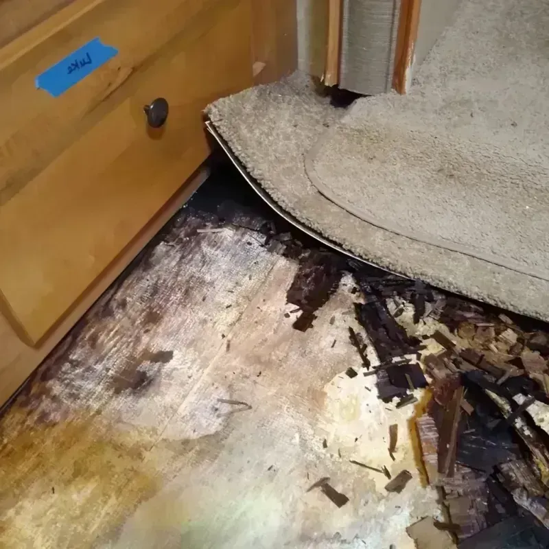 Best Wood Floor Water Damage Service in Cannelton, IN